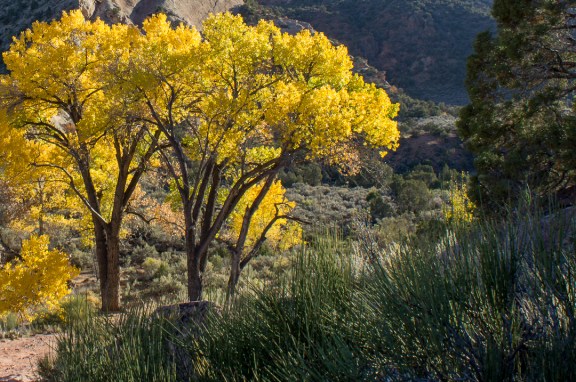 Lower Monument Canyon Trail, October 26, 2013.