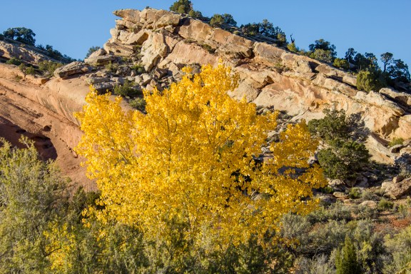 Lower Monument Canyon Trail, October 26, 2013.