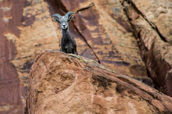 Lower Monument Canyon Trail, October 26, 2013.