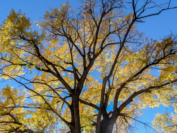 Lower Monument Canyon Trail, October 26, 2013.