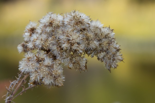 This was just interesting.