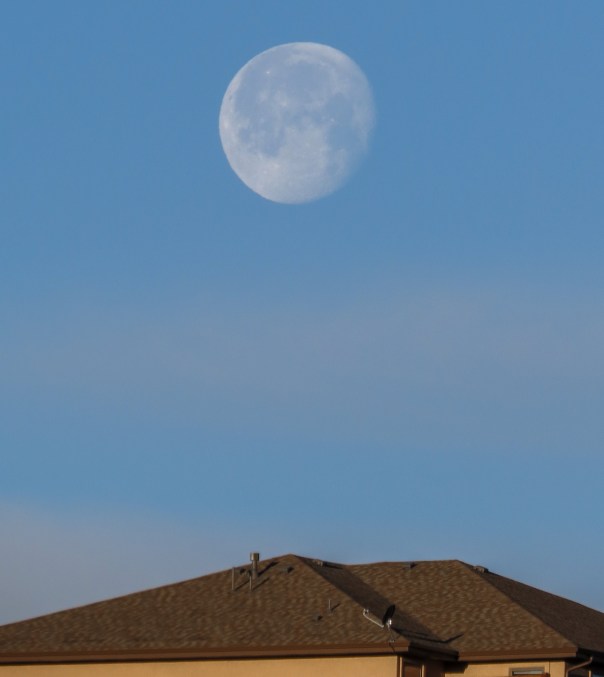 Moonset in the ’Hood.