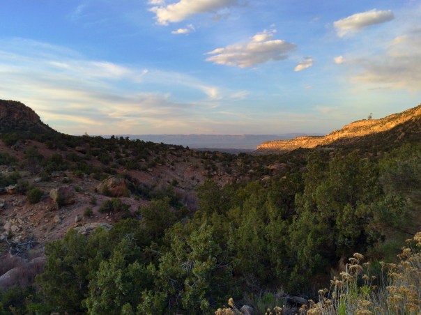 Looking Toward Junction