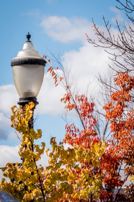Fall 2015, Downtown Grand Junction, Colorado